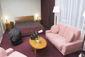 Deluxe double with city view, queen bed, private facilities, and breakfast